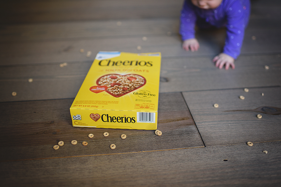 cheerios10_edited-1
